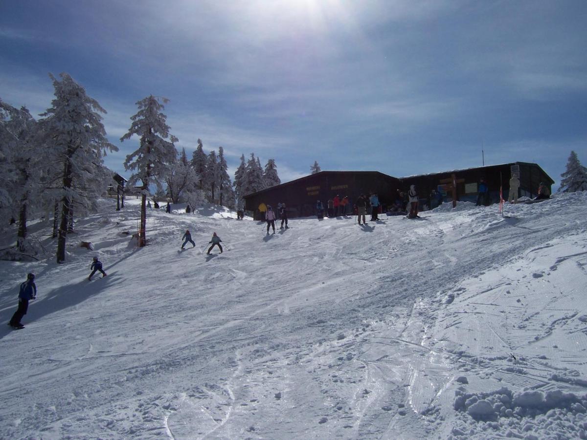 - Der Berghof 3*